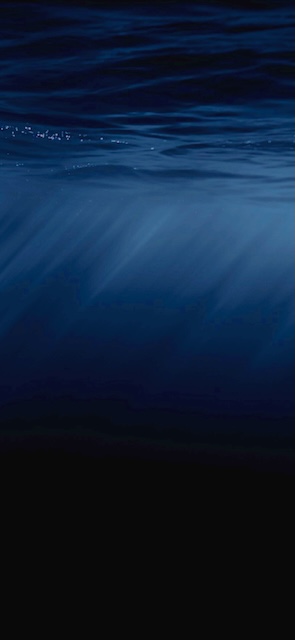 Underwater Night Wallpaper Phone — Wallpaper (Phone) template