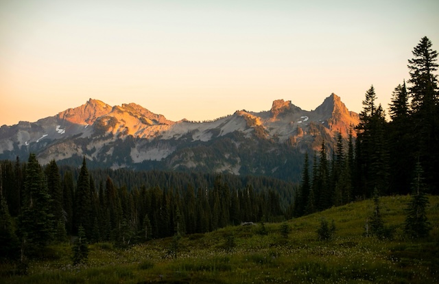 Mountain Forest Wallpaper Desktop — Wallpaper (Desktop) template