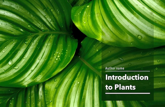 Introduction to plants Book Cover — Book Cover (Landscape) template