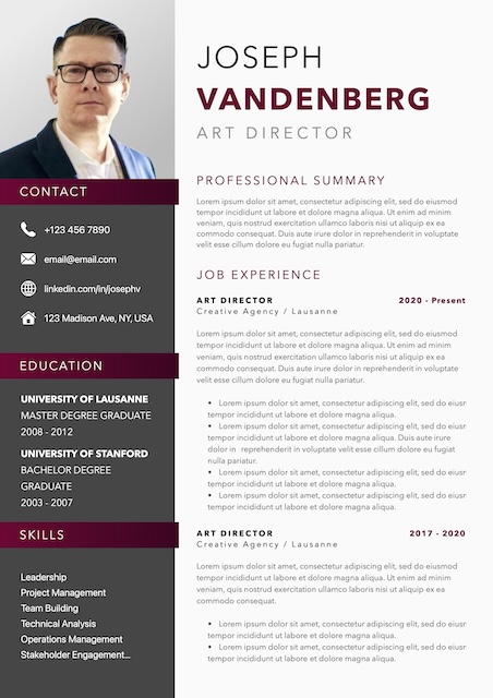 Aubergine Style Resume CV — Curriculum Vitae template