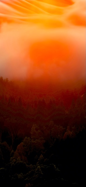 Mist Wallpaper Phone — Wallpaper (Phone) template