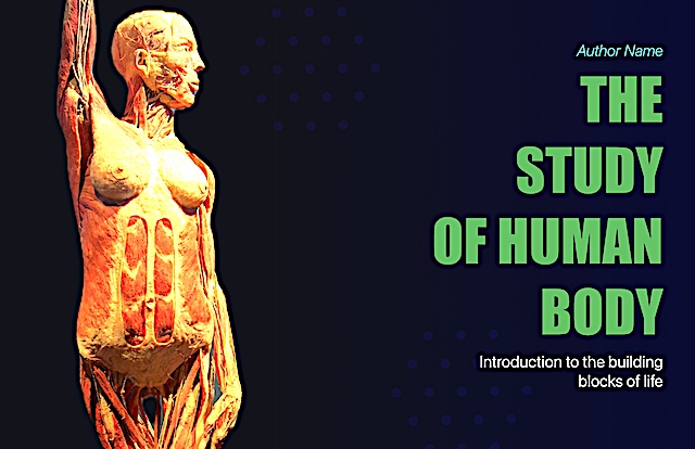 Anatomy Book Cover — Book Cover (Landscape) template